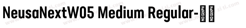 NeusaNextW05 Medium Regular字体转换